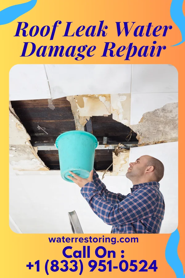 Roof Leak Water Damage Repair in East Vineland, NJ