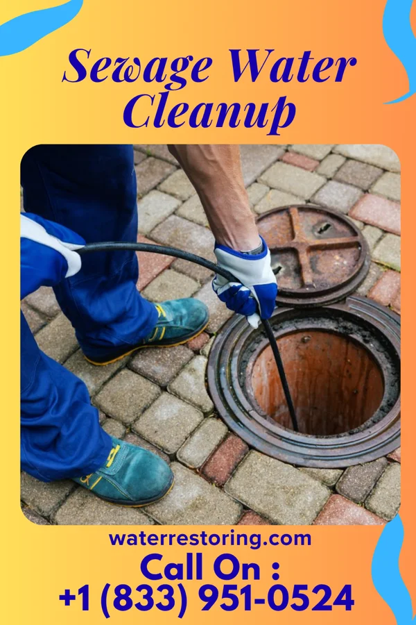 Sewage Water Cleanup in East Vineland, NJ